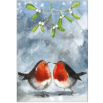 Utěrka AC - Robins &amp; Mistletoe - 45*65 cm
