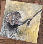 Přání Baby elephant