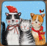 Dóza Festive Cats 14*14*4 cm