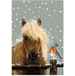 Utěrka AC - Horse &amp; Robin - 45*65 cm