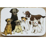 Dóza nízká Delightful Dogs 11*7*2 cm