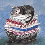 Přání Laundry Basket