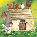Přání Chicken Coop
