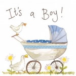 Přání k narození dítěte - Baby boy