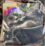 Přání Sound Asleep