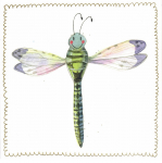 Přání Dragonfly