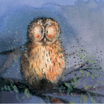 Přání Night Owl