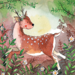 Přání Forest deer