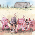 Přání Five Pigs