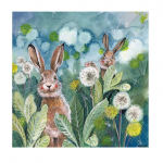 Přání Little Rabbits