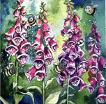 Přání Fox Gloves