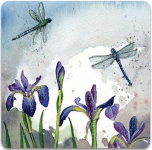 Magnetka Dragonflies