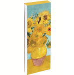 Nákupní seznam - Masters B