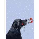 Notýsek Labrador, 9*12 cm