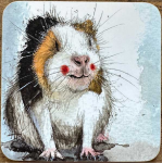 Podložka Guinea Pig, 10*10 cm