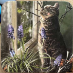 Dóza Cat and Muscari 8,7*8,7*4 cm