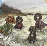 Dóza Spaniel 8,7*8,7*4 cm