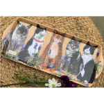 Tác melamin střední Cats; 17*38 cm