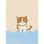 Notýsek Little Toffee, 9*12 cm