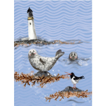 Notýsek On the Rocks, 9*12 cm