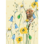 Notýsek Fieldmouse, 9*12 cm