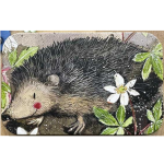 Dóza nízká Mr Prickly 11*7*2 cm