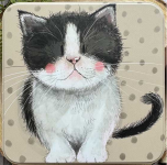 Dóza Kitten 14*14*4 cm