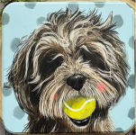 Dóza Doodle 14*14*4 cm