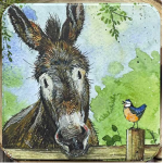 Dóza Donkey 14*14*4 cm