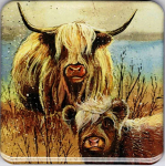 Magnetka Highland Cow