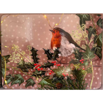 Prostírání korkové Little Robin; 29*21,5 cm